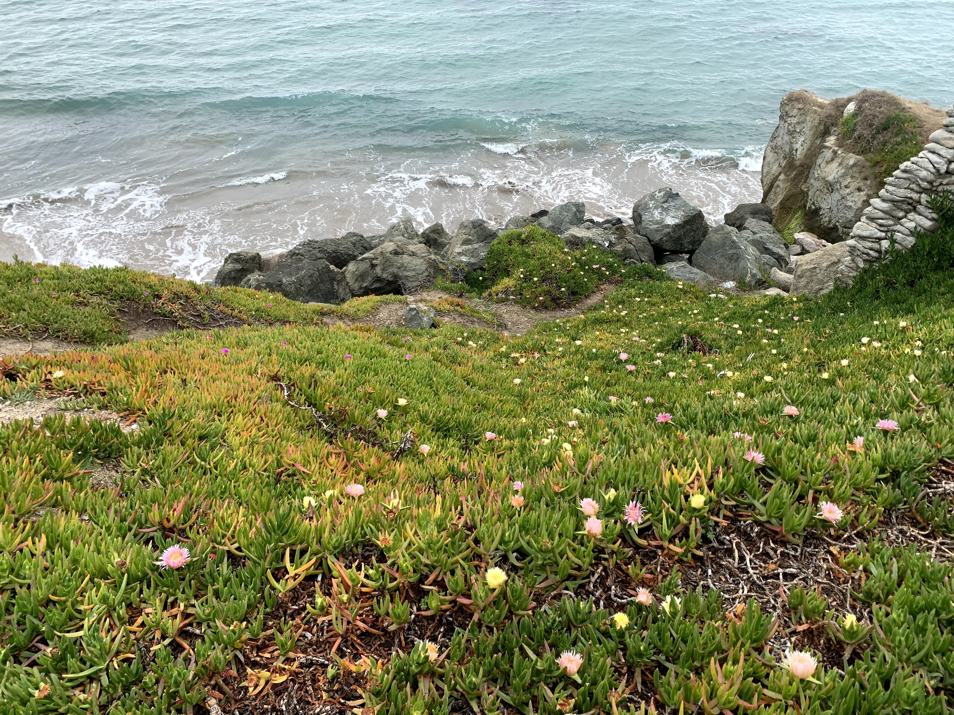 West Cliff Drive, Santa Cruz, CA