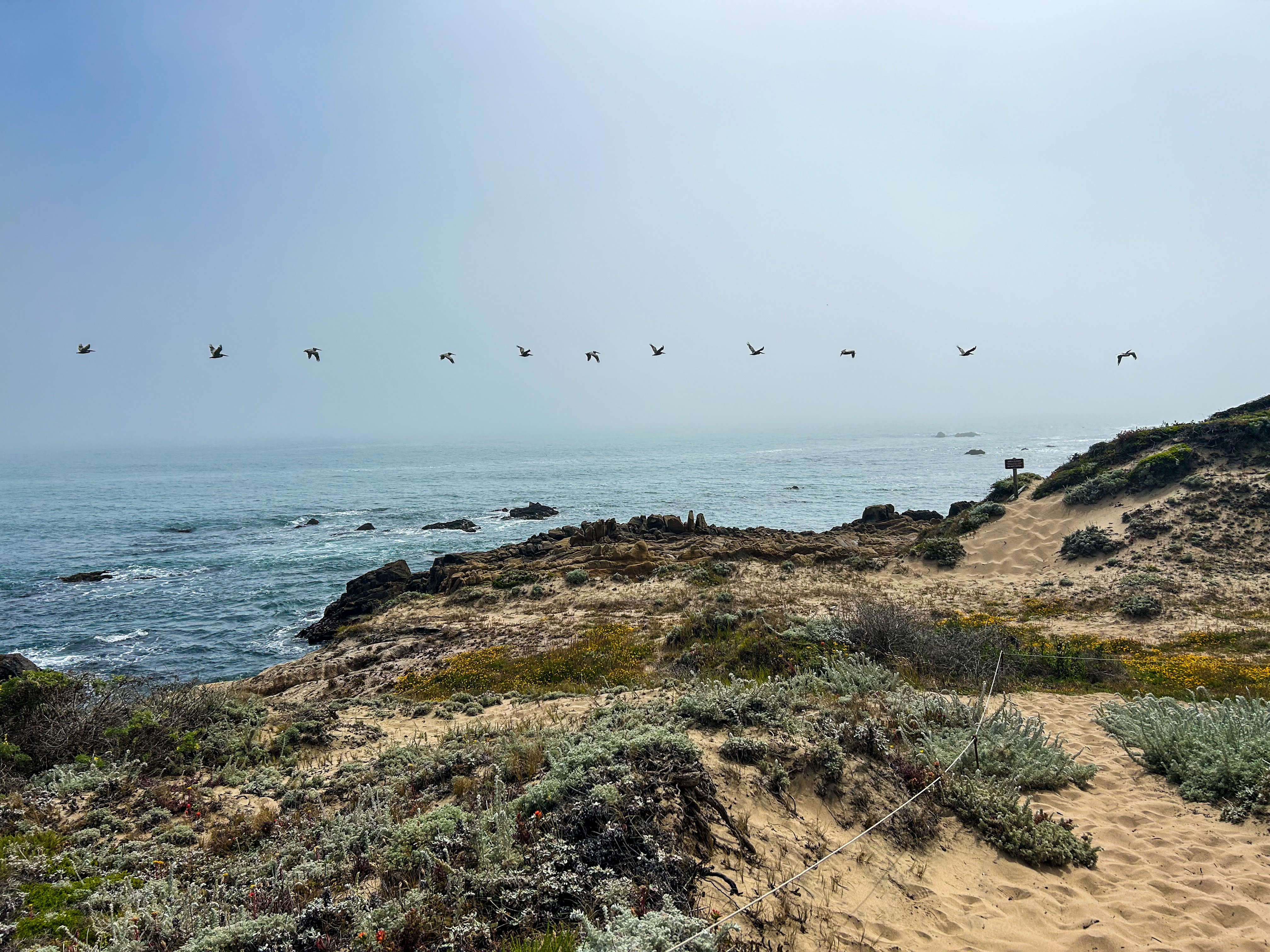 Atkinson Bluff, Pescadero, CA